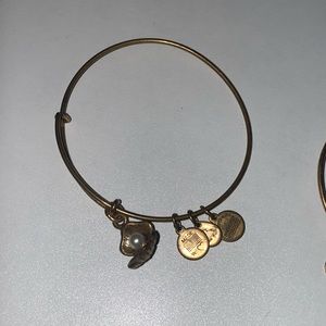 ALEX  AND ANI BRACLET